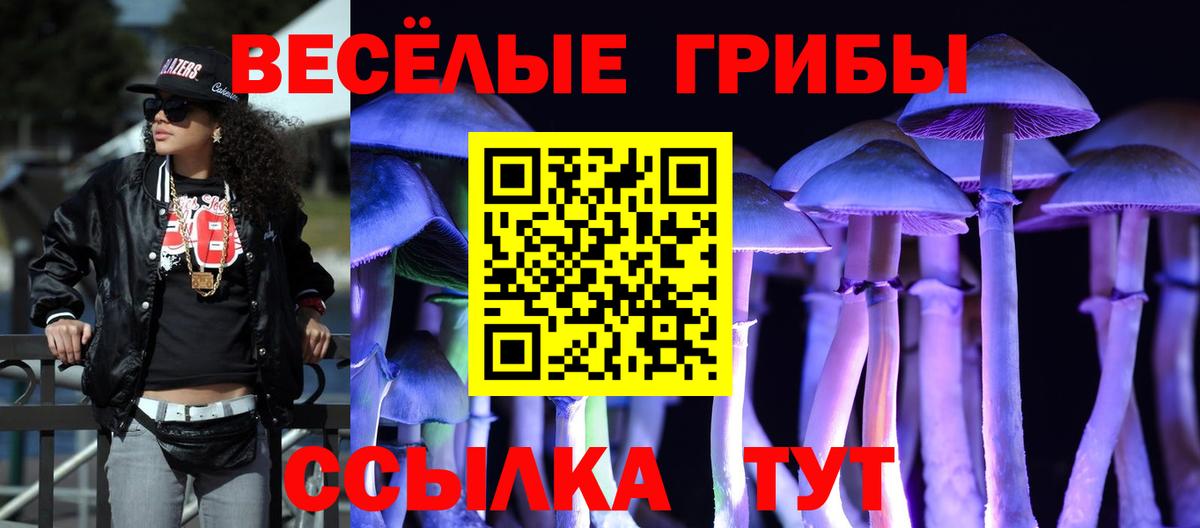 Галлюциногенные грибы прущие грибы Михайловск